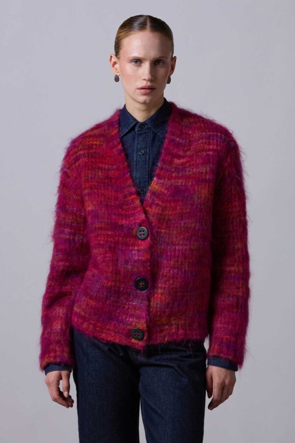 Cardigan multicolor in lana e mohair di Roberto Collina